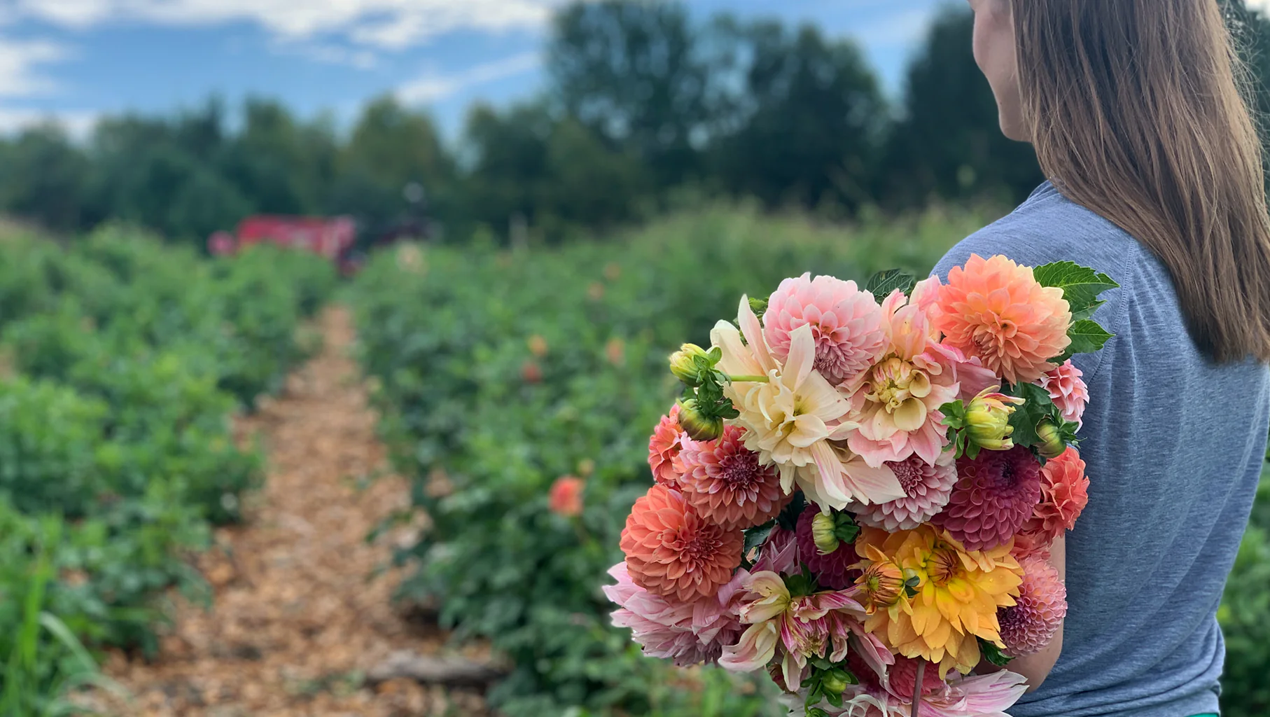 Fresh Blooms From Our Fields
